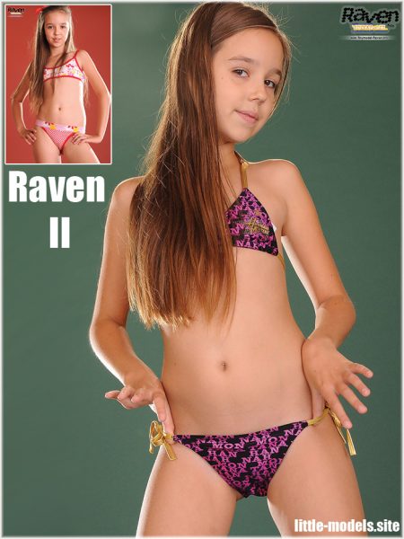 Tiny Model – Raven II